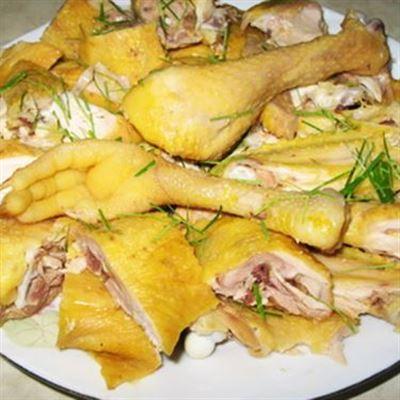 Gà Chỉ Hảo Hảo