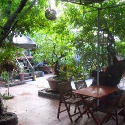 Nghệ Sỹ Quán Cafe