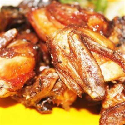 Chim Cút – Phạm Văn Thuận