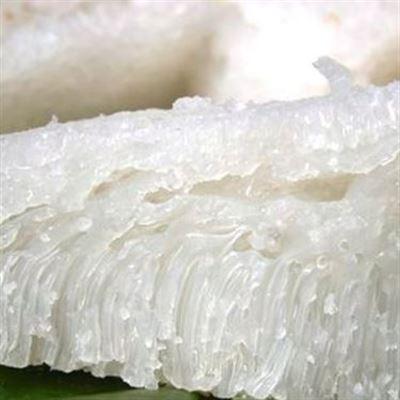 Bánh Chưng Bánh Bò – Trần Quốc Toản