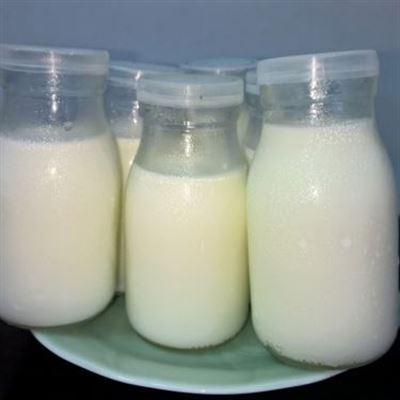 Sữa Bò Tươi 5 Trí