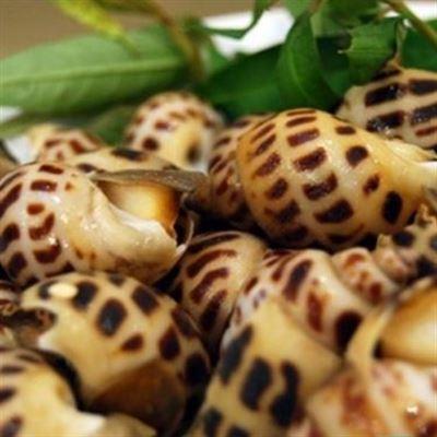 Ốc Hương – Tháp Bà