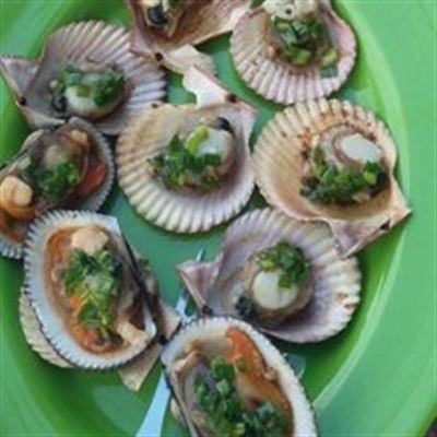Răng Mực Phan Thiết