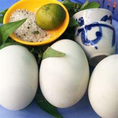 Trứng Lộn Bình Dân