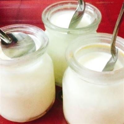 Yaourt & Bánh Flan – Trần Nhật Duật