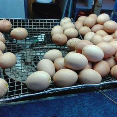 Thảo – Trứng Gà Nướng