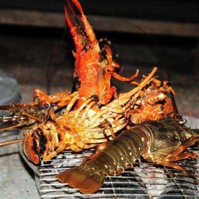 Khu Hải Sản Bãi Nồm – Đảo Bình Ba