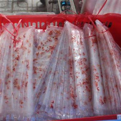 Bánh Tráng Tây Ninh – Cách Mạng Tháng 8