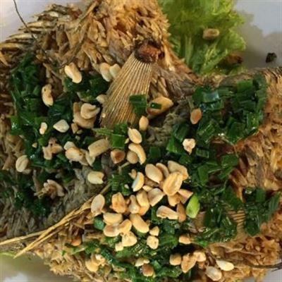 Hải Sản 6 Hòn