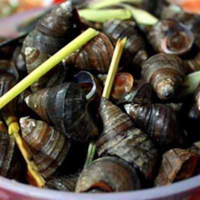 Ốc Nóng – Nem Cuốn