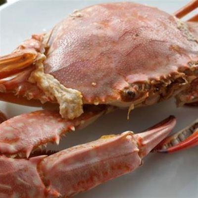 Hải Sản Bé Nhi – Đặc Sản Hội An