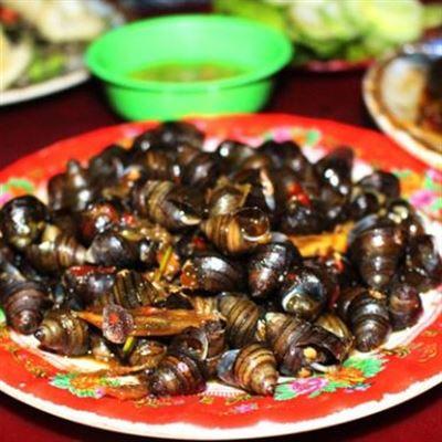 Thảo Tú – Ốc Hút & Trứng Lộn