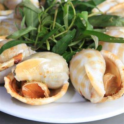 Ốc Đảo Quán