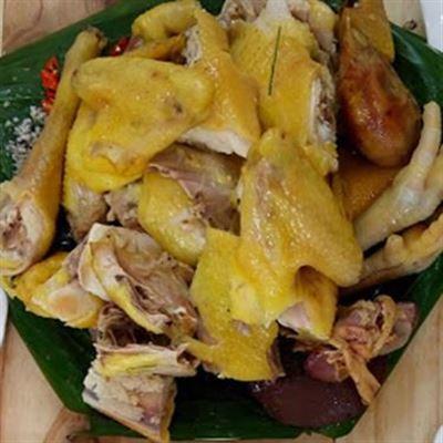 Gà Chỉ Vườn Xanh