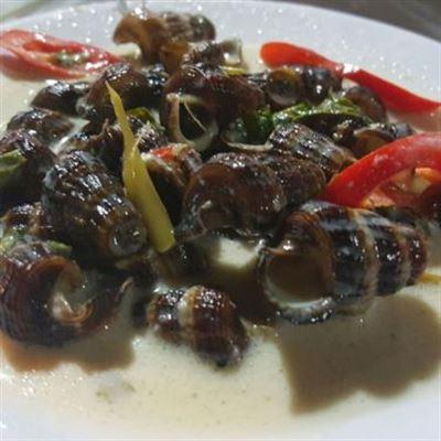 Quán 66A – Các Loại Ốc