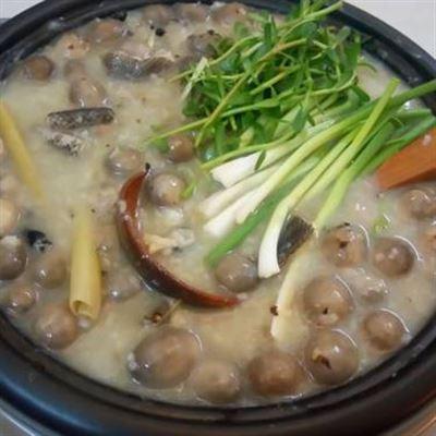Cháo Rắn 72