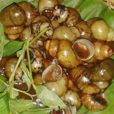 Quán Ê Ốc Nhé – Quốc Lộ 60