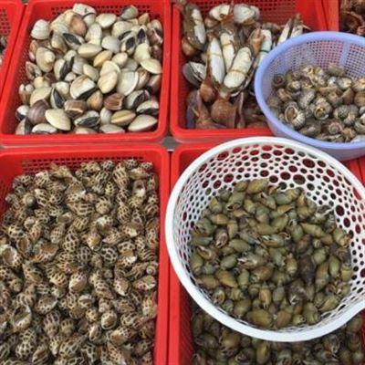 Ốc Ngọc