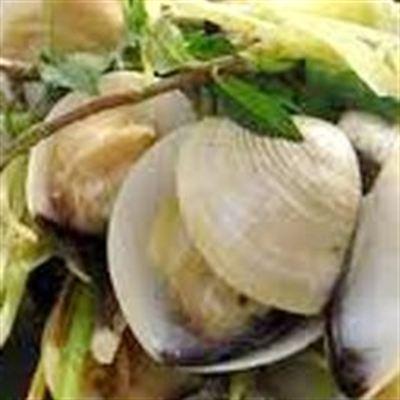 Hồng Sơn – Nghêu Dăm Bông