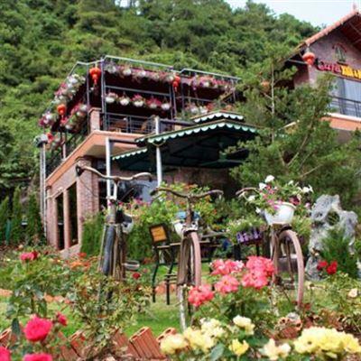 Cafe Xưa & Nay