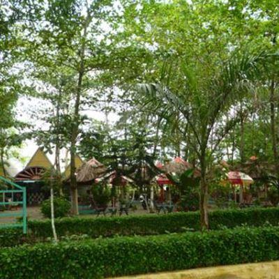 Tô Thanh 1