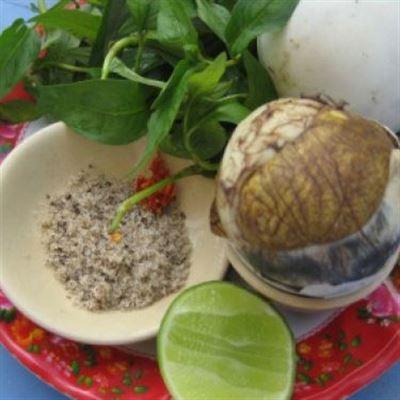Hột Vịt Lộn – Phan Bội Châu
