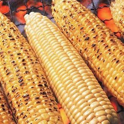 Bắp Nướng Vỉa Hè Cầu Ông Đạo