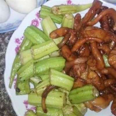 Ốc Đêm – Phạm Văn Ngữ