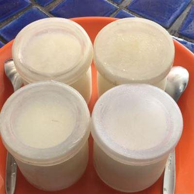Ông Thụ – Sữa Chua