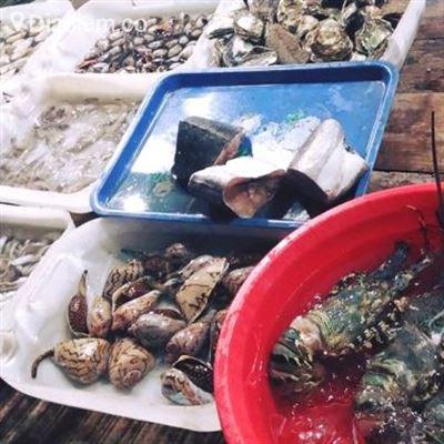 Bờ Kè Thỏ – Hải Sản Tươi Sống