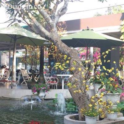 Cau Vua Cafe