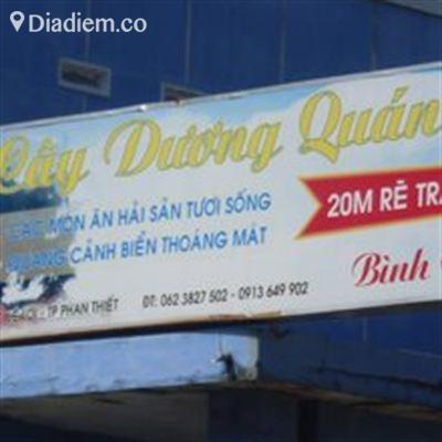 Cây Dương