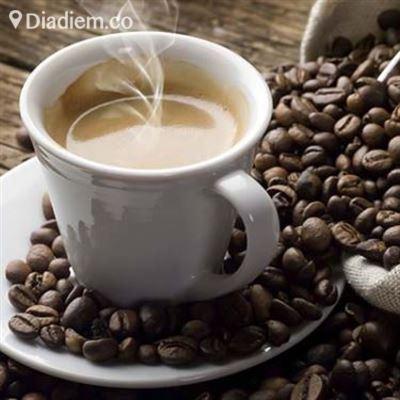 Cây Trúc Cafe – Từ Văn Tư