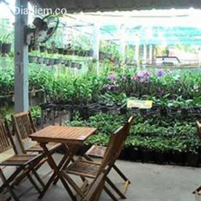 Hội Quán Phong Lan – Cafe Sách Phương Tùng – Tỉnh Lộ 884