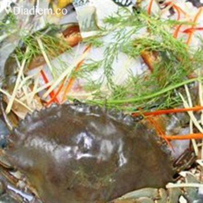 Làng Chài Quán – Hải Sản Tươi Sống