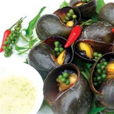 Ốc Thiên Nhiên – Trương Công Định