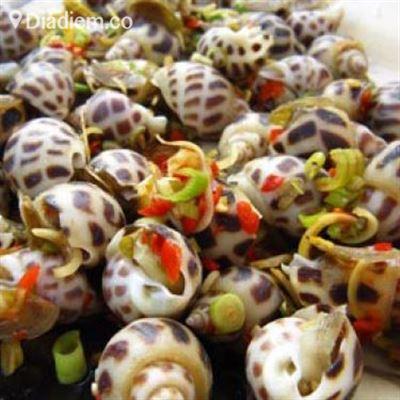 Ốc Thuỳ Dương – Phạm Cự Lượng