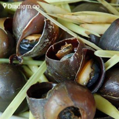 Ốc – Trần Công An