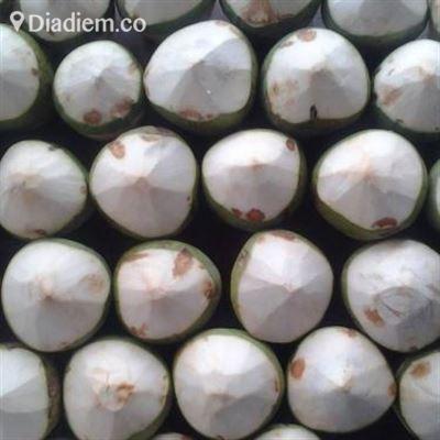 Ola Thạch Dừa Xiêm