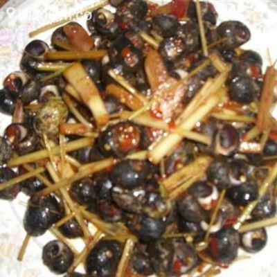 Phương Nhi – Hải Sản
