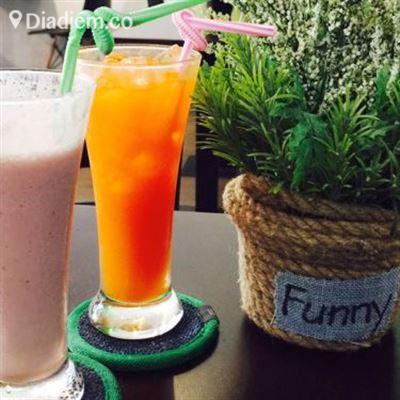 Safari Coffee & Milk Tea