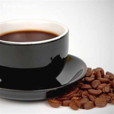 Sinh Cafe – Nguyễn Đình Chiểu