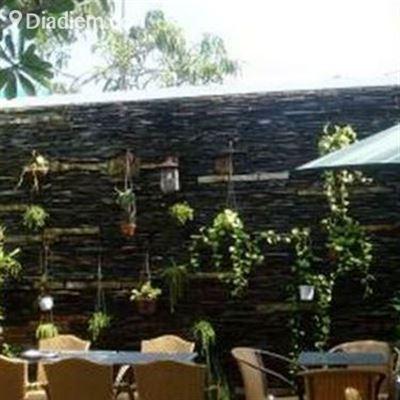 Thềm Xưa Cafe – Không Gian Sân Vườn Lãng Mạn