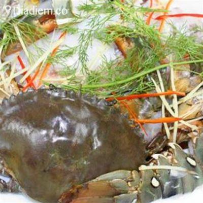 Thỏ Vàng Quán – Món Nhậu Bình Dân
