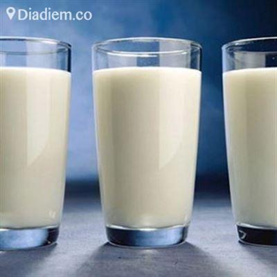 Tmilk – Sữa Bò Tươi
