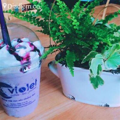 Violet Coffee